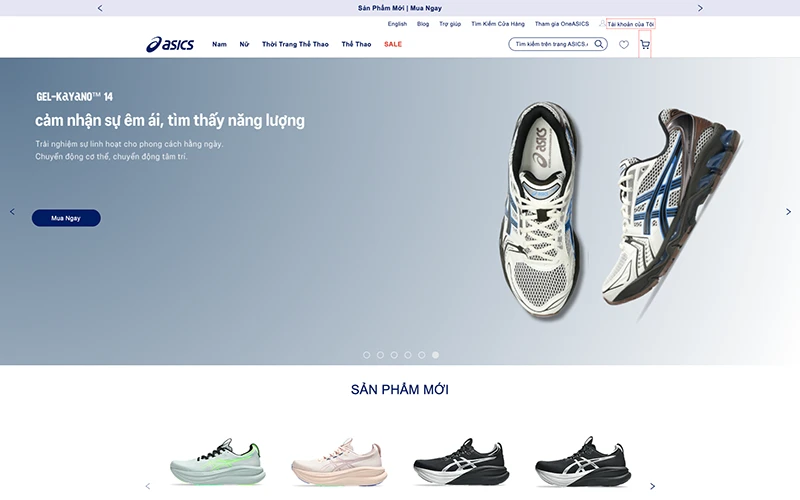 thiết kế website bán giày