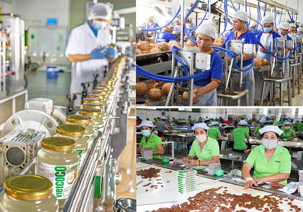 thiết kế website Bến Tre, thiết kế website tại Bến Tre, thiết kế web Bến Tre