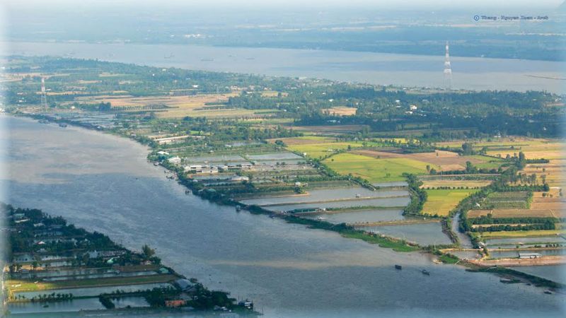 thiết kế website trà vinh, thiết kế web trà vinh