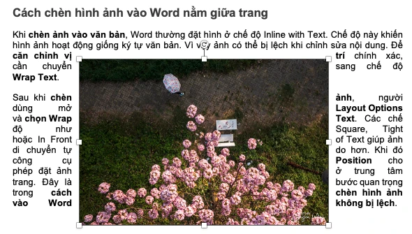 cách chèn hình ảnh vào Word, chèn ảnh vào Word, cách thêm ảnh vào Word, insert picture in Word, chèn ảnh trong Word, cách chèn ảnh vào Word 2010, cách chèn ảnh vào Word 2016, cách chèn ảnh vào Word 2019, cách chèn ảnh vào Word 365, cách chèn nhiều ảnh vào Word, cách chèn ảnh vào Word không bị nhảy chữ, cách chèn hình ảnh lên hình ảnh trong word, cách chèn ảnh vào Word vừa khung, cách chèn ảnh vào Word trên máy tính, cách chèn ảnh vào Word trên laptop, cách chèn ảnh vào Word online