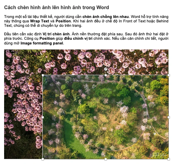 cách chèn hình ảnh vào Word, chèn ảnh vào Word, cách thêm ảnh vào Word, insert picture in Word, chèn ảnh trong Word, cách chèn ảnh vào Word 2010, cách chèn ảnh vào Word 2016, cách chèn ảnh vào Word 2019, cách chèn ảnh vào Word 365, cách chèn nhiều ảnh vào Word, cách chèn ảnh vào Word không bị nhảy chữ, cách chèn hình ảnh lên hình ảnh trong word, cách chèn ảnh vào Word vừa khung, cách chèn ảnh vào Word trên máy tính, cách chèn ảnh vào Word trên laptop, cách chèn ảnh vào Word online