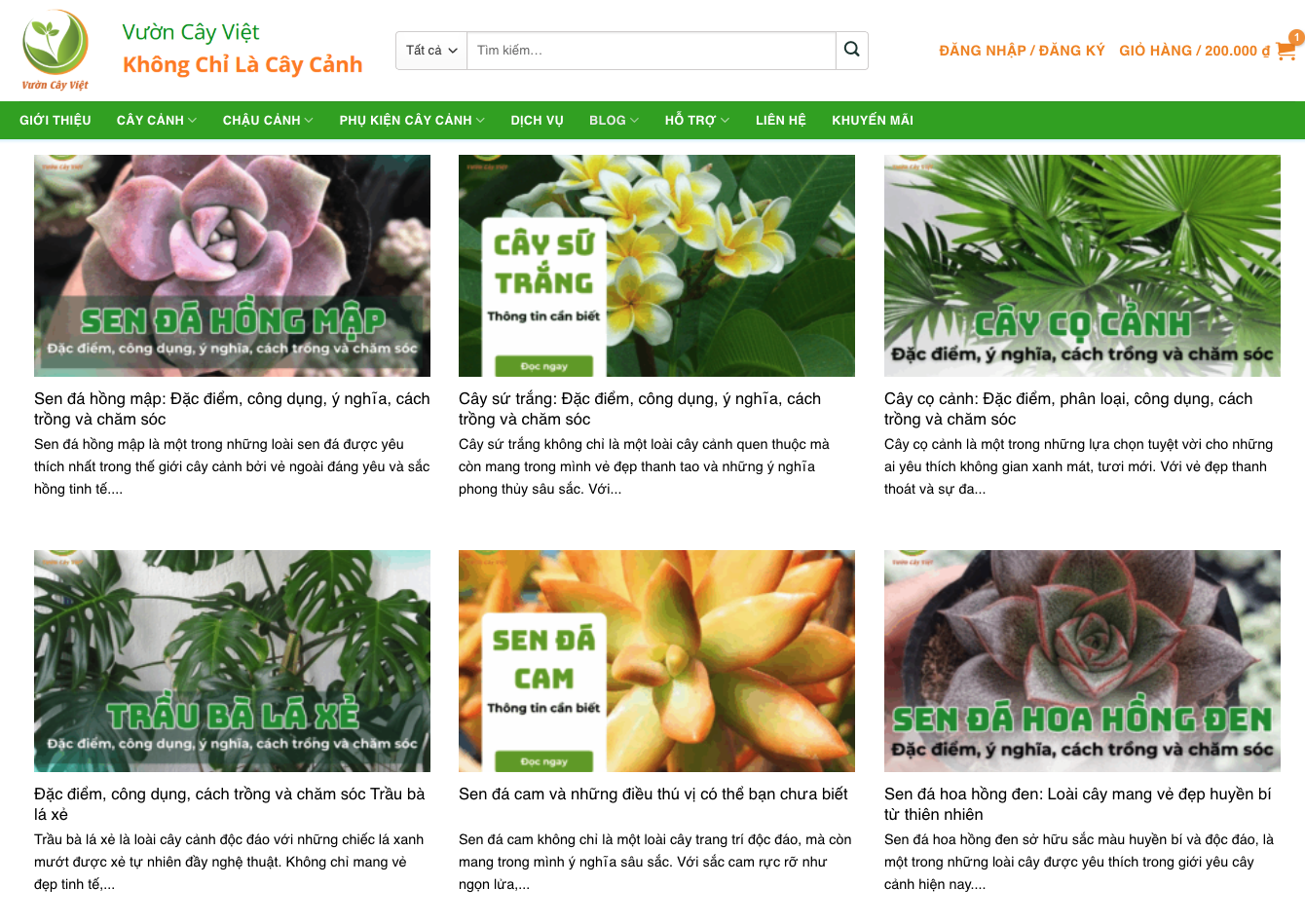 thiết kế website cây cảnh, thiết kế website bán cây cảnh, thiết kế web cây cảnh chuyên nghiệp, làm website cây cảnh, thiết kế web shop cây cảnh