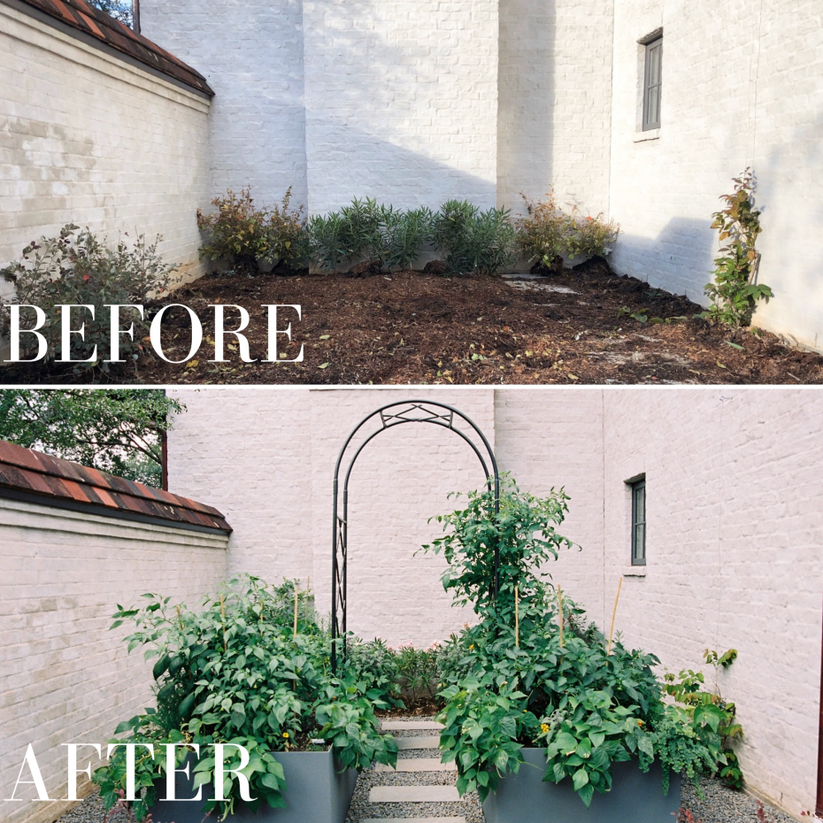 thiết kế website cây cảnh, thiết kế website bán cây cảnh, thiết kế web cây cảnh chuyên nghiệp, làm website cây cảnh, thiết kế web shop cây cảnh