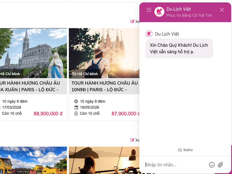 thiết kế website visa