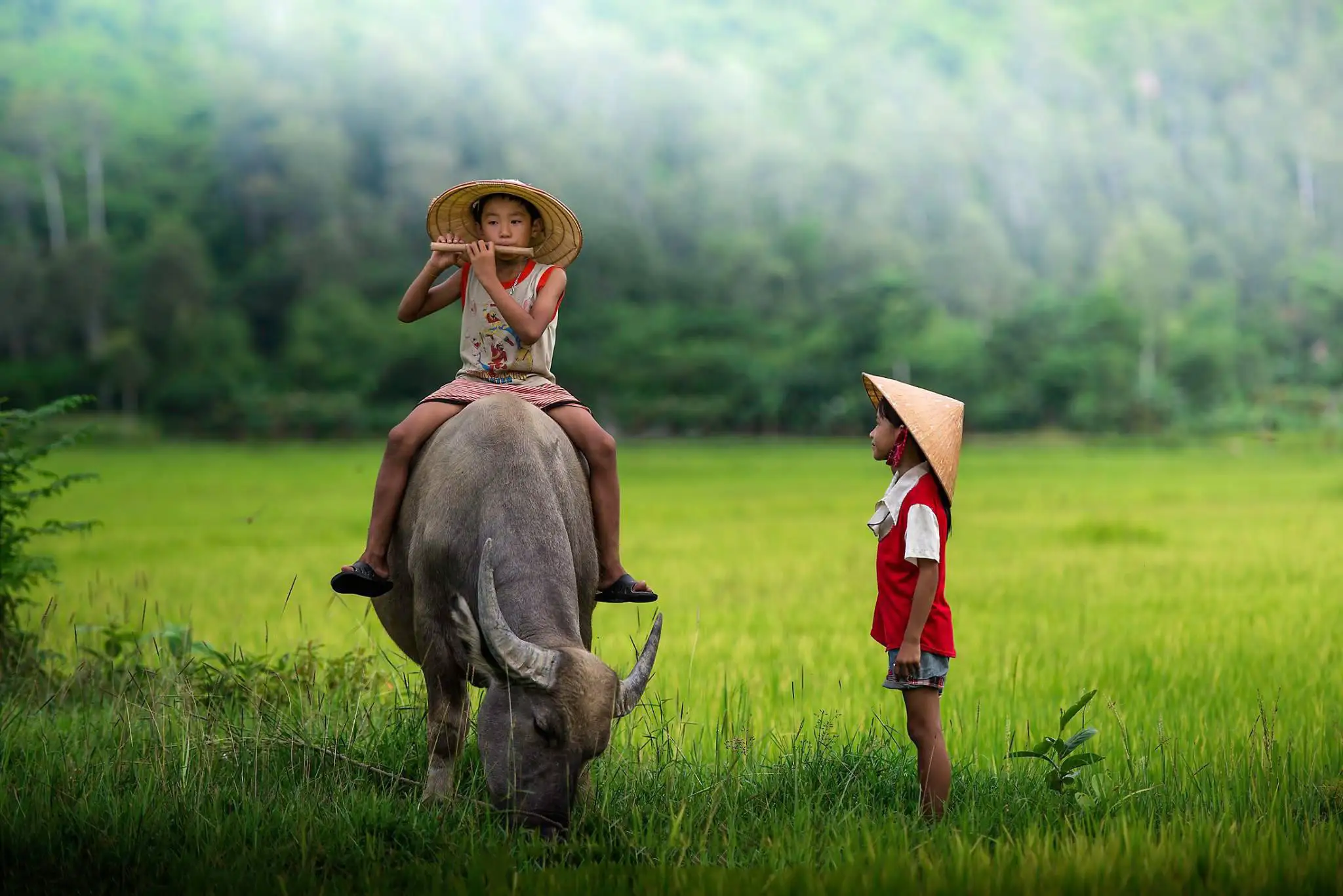 thiết kế website hội đồng hương, thiết kế website cộng đồng, thiết kế website nhóm riêng, làm website cho hội nhóm, thiết kế website nội bộ doanh nghiệp